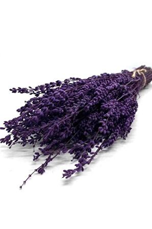 Şoklanmış Doğal Lavanta Demeti Natural Lavender Bundle 40-50 Cm