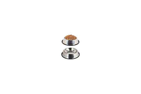 Orret Home Paslanmaz Çelik Kedi,Köpek Mama Ve Su Kabı,Kaymaz Tabanlı (22 Cm)