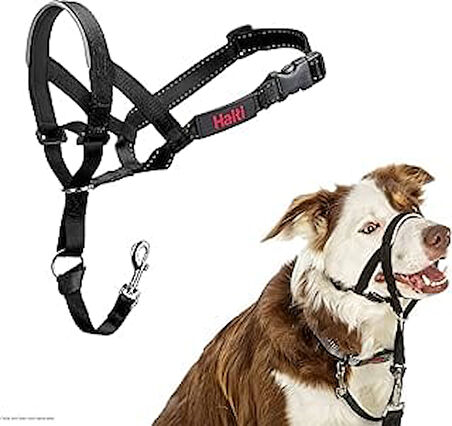 Şirket Hayvanlarının Halti Köpek Halter, Boyut 2 (35-48 Cm), Siyah