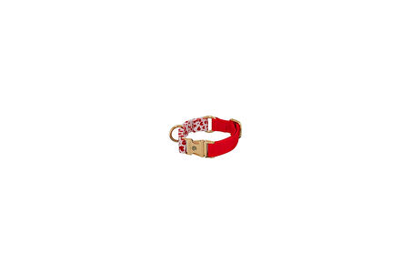 Gopawgo Valentine Quick Release Premium Köpek Tasması | El Yapımı | Büyük Ve Küçük Köpekler Ayarlana