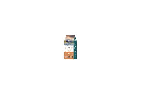 Mystic Az Tahıllı Yetişkin Köpek Maması Somonlu 15 Kg