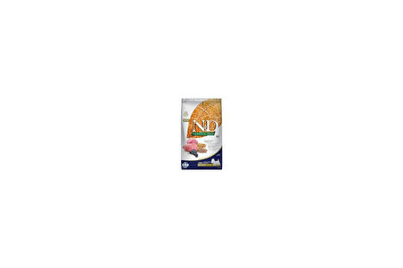 Ancestral Grain Köpek Kuzu, Kılçıksız Buğday, Yulaf & Yabanmersini Yetişkin Mini 2.5 Kg