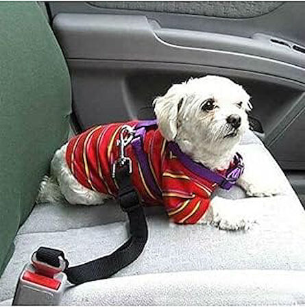 Köpek Emniyet Kemeri Ve Gezdirme Tasması - Tüm Araçlara Uyumlu - Köpek Araba Seyahat Kemeri