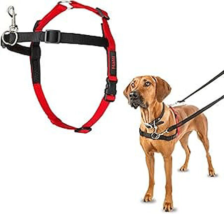 Company of Animals Halti Köpekler Önden Kontrollü Göğüs Tasması, Büyük Boy