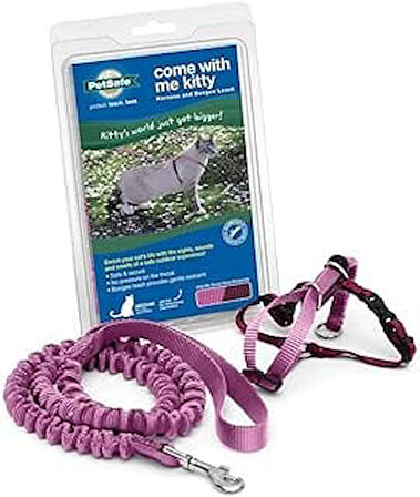 PetSafe Come With Me Kitty Koşum Takımı ve Bungee Tasma, Kediler Koşum, Büyük, Tozlu Gül/Bordo