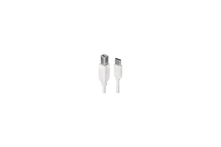 Powermaster Pm-16018 Type-C Usb B 1.5 Metre Yazıcı Kablosu