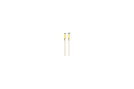 Ttec Alumicable Type-C Lightning Hızlı Şarj Kablosu 150Cm Altın