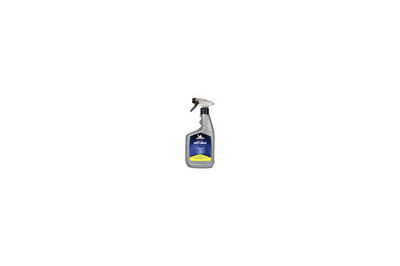 MC31968 650ml Sulu Sprey Cila