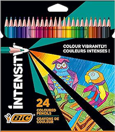 Color Up Üçgen Kuru Boya Kalemi, 24'lü Kutu
