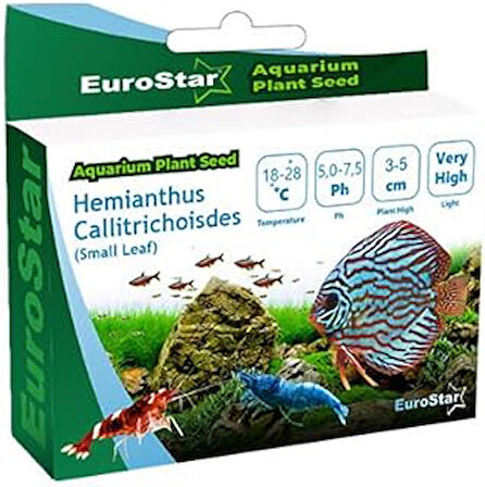 Eurostar Hemianthus Callitrichoides Akvaryum Bitkisi Tohumu