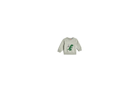 Sweatshirt Dinozor Peluş Aplike Detaylı Şardonlu Bisiklet Yaka