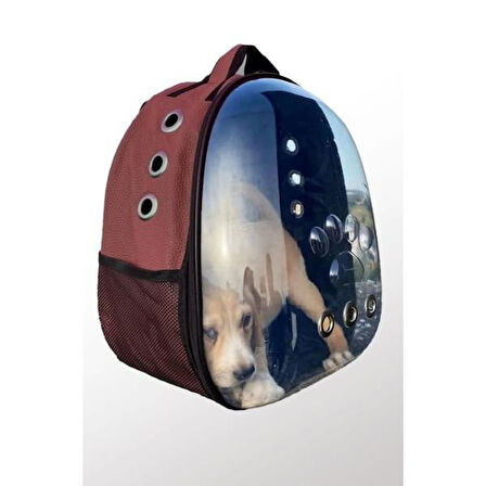 Deri Astronot Ve Köpek Taşıma Çantası Bordo Renk