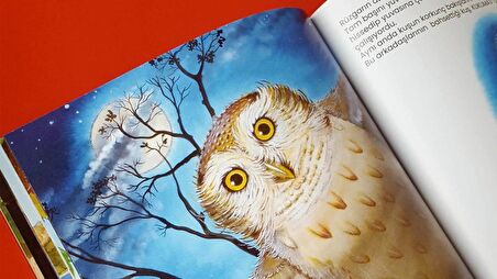 Gizemli Komşumuz Kukumav Resimli Hikâye Kitabı