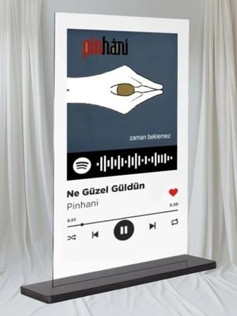 Dekori_Spotify Plak_Pinhani/Ne Güzel Güldün_15x20