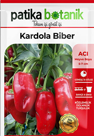 200 Adet Kardola Biber Tohumu (Mini Kapya)