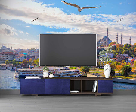 İstanbul Eminönü Süleymaniye Camii Manzaralı Duvar Kağıdı