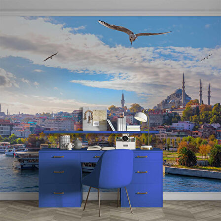 İstanbul Eminönü Süleymaniye Camii Manzaralı Duvar Kağıdı