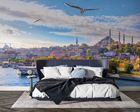İstanbul Eminönü Süleymaniye Camii Manzaralı Duvar Kağıdı