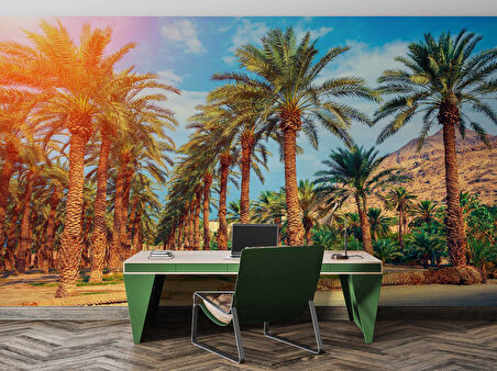 Hindistan Cevizi Ağaç Manzaralı Duvar Kağıdı