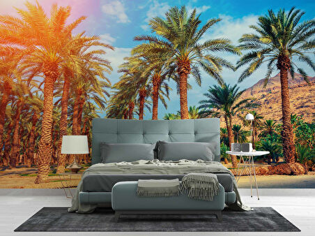 Hindistan Cevizi Ağaç Manzaralı Duvar Kağıdı