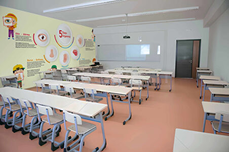 5 Duyu Organımız Okul Duvar Kağıdı