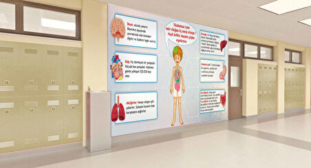 İç Organlarımız Okul Duvar Kağıdı Baskı