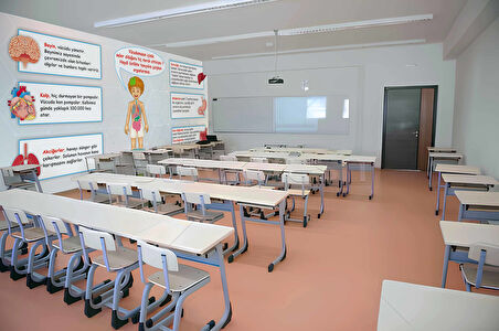 İç Organlarımız Okul Duvar Kağıdı Baskı