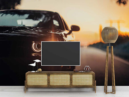 Araba Far Günbatımı Duvar Kağıdı Baskı