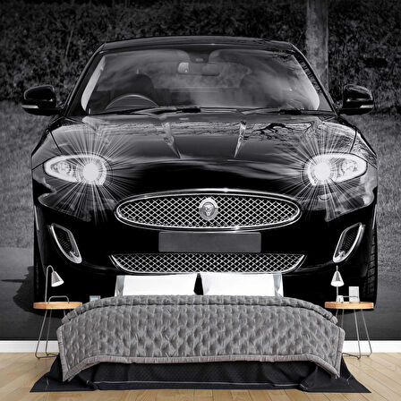 Jaguar Araba Duvar Kağıdı Baskı