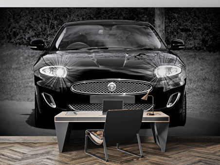 Jaguar Araba Duvar Kağıdı Baskı