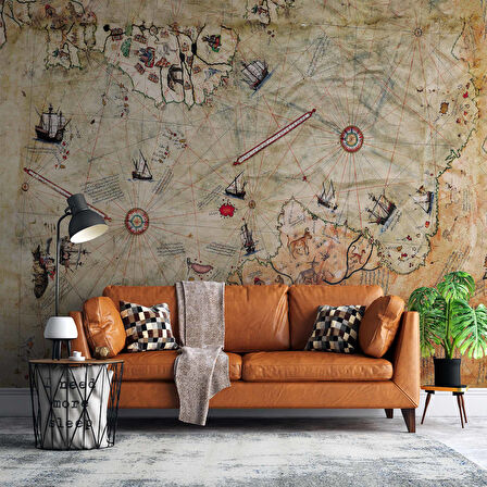 Piri Reis Haritası Duvar Kağıdı