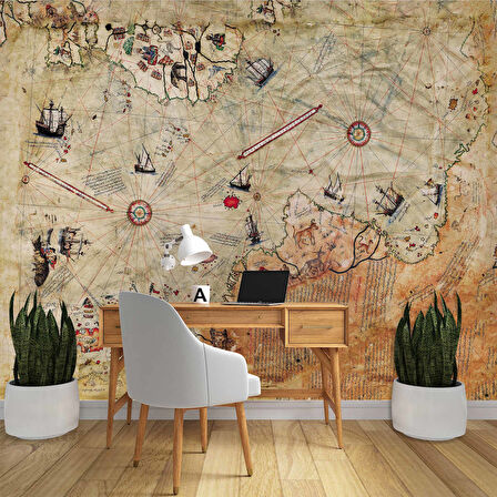 Piri Reis Haritası Duvar Kağıdı