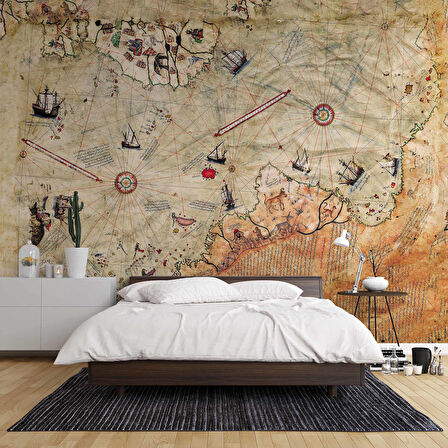 Piri Reis Haritası Duvar Kağıdı