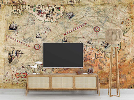 Piri Reis Haritası Duvar Kağıdı