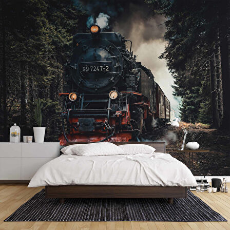 Orman ve Lokomotif Manzaralı Duvar Kağıdı