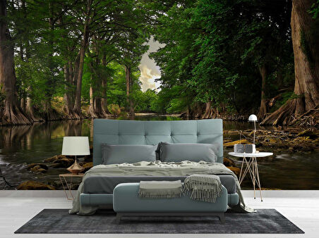 Orman ve Nehir Manzaralı Duvar Kağıdı