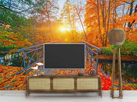 Sonbahar Doğa ve Nehir Manzaralı Duvar Kağıdı