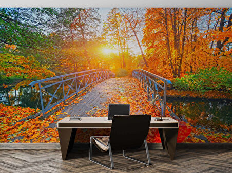 Sonbahar Doğa ve Nehir Manzaralı Duvar Kağıdı