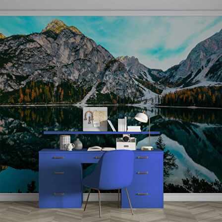 Karlı Dağ Göl ve Orman Manzaralı Duvar Kağıdı