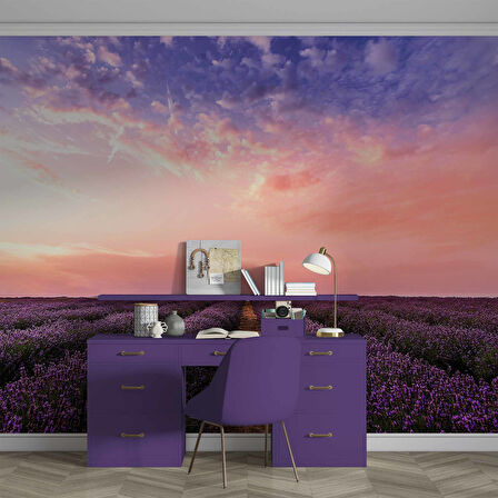 Lavanta Bahçesi Duvar Kağıdı