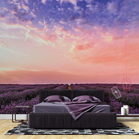 Lavanta Bahçesi Duvar Kağıdı