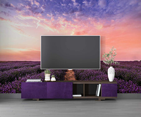 Lavanta Bahçesi Duvar Kağıdı