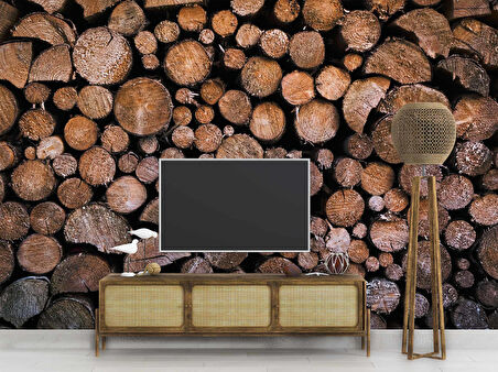 3 Boyutlu Odun Zemin Temalı Duvar Kağıtları