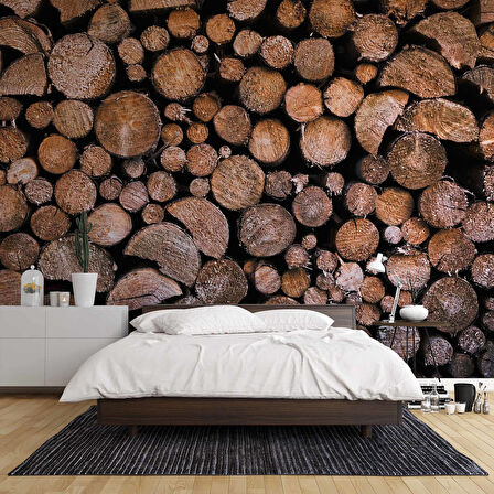 3 Boyutlu Odun Zemin Temalı Duvar Kağıtları