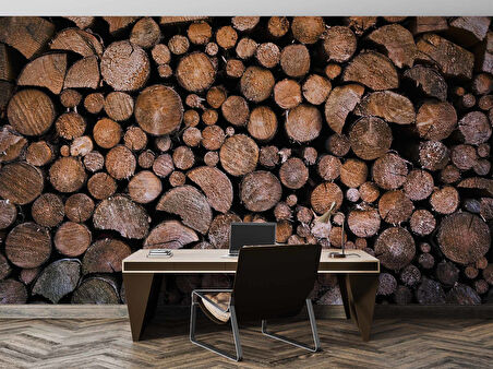 3 Boyutlu Odun Zemin Temalı Duvar Kağıtları