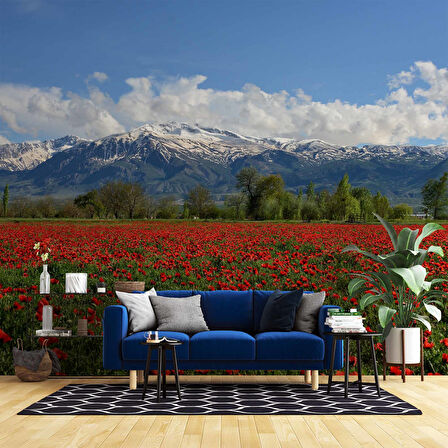 Erzincan Gelincik Manzaralı Duvar Kağıdı