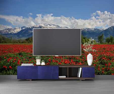 Erzincan Gelincik Manzaralı Duvar Kağıdı