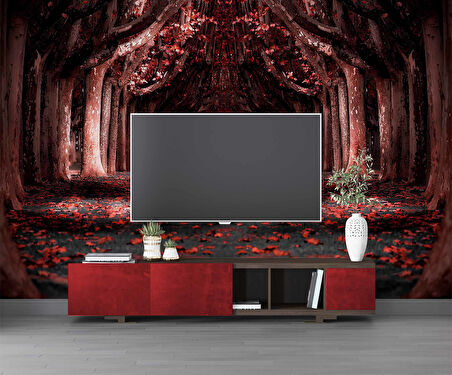 Kırmızı Yapraklı Orman Yolu Manzaralı Duvar Kağıdı