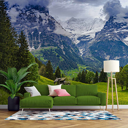 Karlı Dağ ve Yeşil Vadi Manzara Duvar Kağıdı