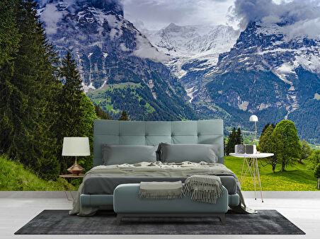 Karlı Dağ ve Yeşil Vadi Manzara Duvar Kağıdı